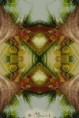 /album/photogallery/C-supportive-energyweb-copy-jpg/